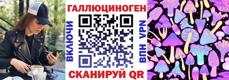 Галлюциногенные грибы Psilocybe  Купить закладки  Тверь 